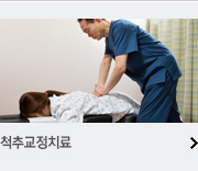 척추교정치료